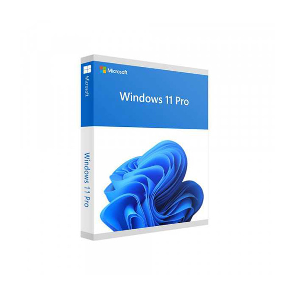 PM Microsoft Win Pro 11 64bit Eng USB HAV-00163 Full pack